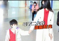 陈妍希带儿子现身机场(画面很温馨5岁小星星五官清秀颜值高像爸爸陈晓)