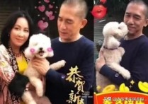 刘嘉玲梁朝伟结婚明星（他会当众给人难堪留下刘嘉玲帮其善后）