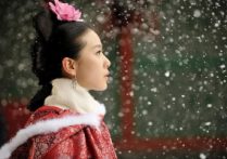 刘诗诗胡夏主演的电影  为何刘诗诗的代表作还是《步步惊心》