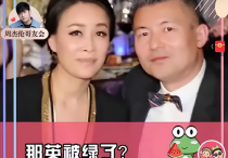 那英富豪老公孟桐婚内出轨（没想到携手16年婚姻的他们也出问题了）