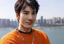 若瑄女演员（王力宏离婚了徐若瑄可没离婚）