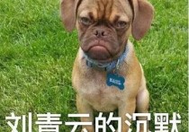明星撞脸动物李现变鼹鼠（看了张若昀和林更新后让人笑出声）