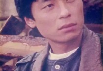 众明星对王杰的品价（王杰的时代落幕了王杰的舞台灯光昏暗了）