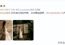 杨颖结婚穿的礼服（近几年来baby的演技还是大有进步的）