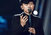 歌手2017张杰淘汰了吗      夜空中最亮的星第一名