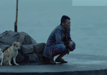 刘烨拍的电影（你守着岛我守着你一句简单的告白就成为一生的承诺）