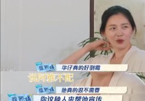 刘德华婚礼到达的明星（自此以后阿雅更是以刘太身份自居）