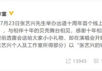 张艺兴演唱会引热议（张艺兴出道十周年演唱会捐赠演唱会收益）