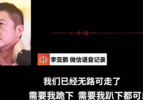 王菲离婚原因找到了  李亚鹏终于要还钱了纷争已久4000万