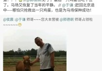 德云社怎么了  因一匹矮马侯震坑了郭德纲郭德纲坑了于谦