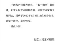 明星濮存昕（母亲患病后濮存昕更是全天陪伴母亲甚至工作也会带着母亲）
