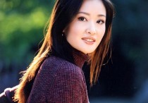 盖丽丽舞蹈演员出身新丽传媒老板娘演艺之路充满坎坷