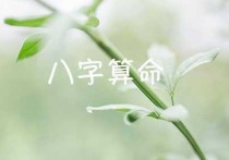 揭秘命运密码：八字算命与终身运势深度解析