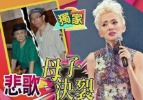 演员梅艳芳姐姐（她发声警告梅启明如果一意孤行就和他断绝关系）
