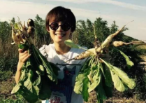 于文华在豪宅后院种菜（铲土种菜完全不怕脏和累引起网友关注）