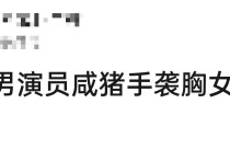 29岁女星陈芳彤遭咸猪手袭胸（观众纷纷吐槽这手很明显是故意的）