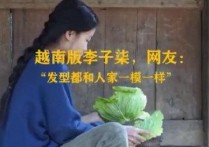 李子柒抖音视频被越南博主模仿抄袭 国际影响力非同一般