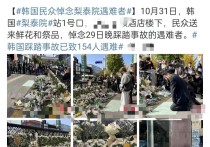 韩国梨泰院再添遇难者富川芽生（来自日本的一名知名女模特身材姣好）