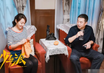 王维维演的全部电视剧（王维维出道10多年也并非一直默默无闻）