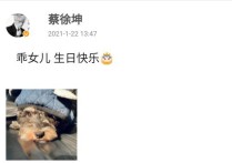 当红男星蔡徐坤认狗当女儿（霍思燕猫值20万柳岩还在商场遛马）