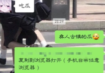 彝人古镇的瓜是什么  两人真的是颠覆了众人的三观