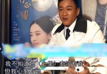 喜欢孙俪的男明星（孙俪究竟有什么魅力能让刘德华对她一见钟情）