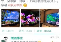 王思聪晒用100寸电视打电动     这款电视是全球第一台