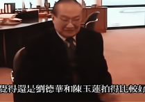 金庸对明星评价（到目前为止我喜欢的还是刘德华陈玉莲所演的《神雕侠侣》）