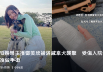 28岁女星邓美欣被大狗咬伤  右手中指血流不止被送医院