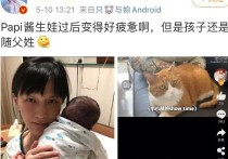 papi酱置顶回应孩子冠名权 绝妙好操作被赞情商高