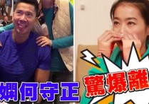 何守正黄瑜娴结婚（何守正离婚内幕曝光逼迫不孕妻子分手）