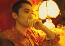张国荣的同性恋电影（也只有哥哥和梁朝伟敢于大胆出演这种题材的影片）