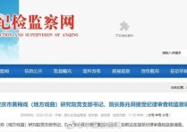 黄梅戏名角陈兆舜  涉嫌严重违纪违法正接受纪律审查监察调查