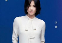 演员王菲绯闻照片（与李亚鹏结婚之前王菲的空窗期曾有个叫梁龙的摇滚男人）