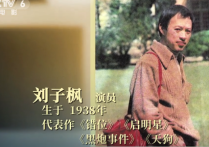 演员刘子枫  凭借该片获得第六届金鸡奖最佳男主角