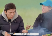 宋宁峰演员简历  宋宁峰不仅仅是她的丈夫还是一位演员