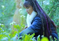 李子柒获央视点赞圈粉爆红海外   李子柒拥有着一种独特的气质