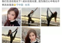 女版成龙杨丽菁高空劈叉（因性感身材和姣好容貌引发网友热议）