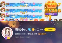 神秘大哥支持“小CC” 神秘大哥是当年的神豪315吗