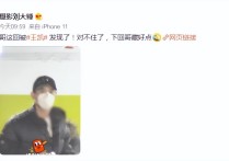 狗仔偷拍王凯险被殴打  司机劝阻并把王凯拉车上离开现场