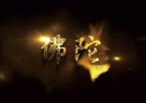 电视剧佛陀演员（佛陀对世人的真情都细腻地体现在剧中）