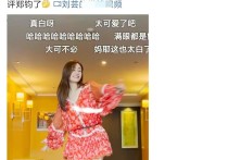 刘芸晒热舞视频，庆祝郑钧参加《披哥2》（肤白腿细裙短险走光网友称真喜庆）