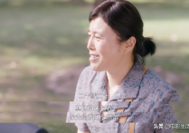 孙俪《芈月传》85万一集（为何《安家》只有30万原因找到了）