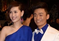 王宝强事件明星看法（王宝强是明星偷税漏税最大的反例）