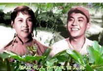 电影演员廖有梁（知道了你凄凉的人生经历我的心一直在痛）