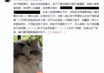 吴绮莉发文痛斥成龙（痛斥成龙一些公开言论对女儿吴卓林造成了极大的伤害）