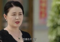 乡村爱情燕子演员（在王小蒙豆制品厂上班的杨晓燕比从前更时尚更精致了）