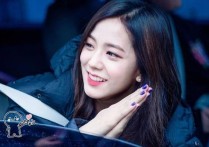 金智秀成韩国男星伴侣理想型长相清秀干净像水晶一样的女生