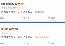 baby明星的照片大全（近日网友发现黄晓明去现身上海杨颖的婚房并且一夜未出）