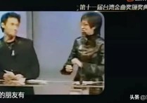 杨乃文当年发生了什么（南泥湾为什么变成了禁歌她经历了什么）